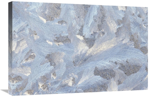 Global Gallery GCS-452845-2030-142 20 x 30 in. Frost Crystal Formation