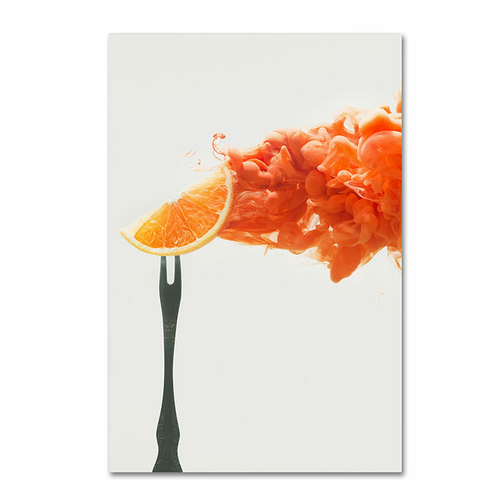 Trademark 1X00869-C1624GG 16 x 24 in. Disintegrated Orange Canvas Art 