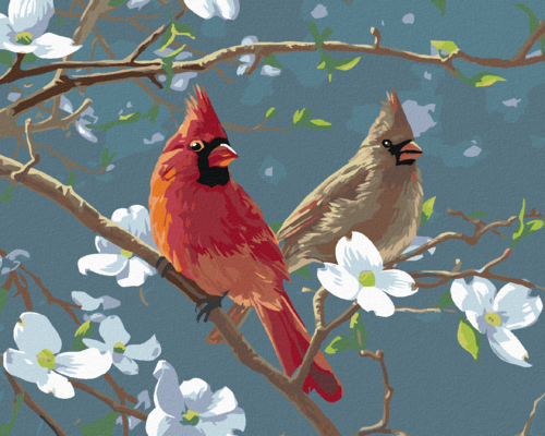 Zuty - Paint by Numbers â€“ CARDINAL BIRD ON A DOGWOOD BRANCH (JAMES