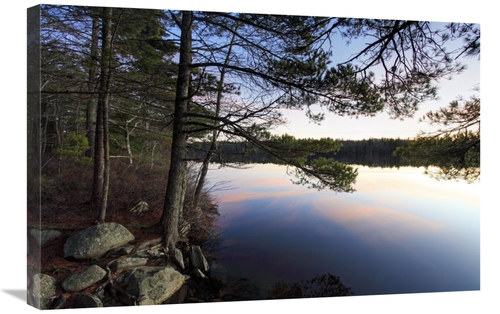 Global Gallery GCS-397611-2030-142 20 x 30 in. Forest Along Lake Shore