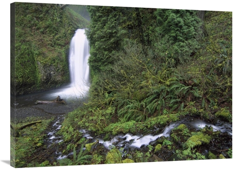 Global Gallery GCS-397146-3040-142 30 x 40 in. Multnomah Falls Cascadi