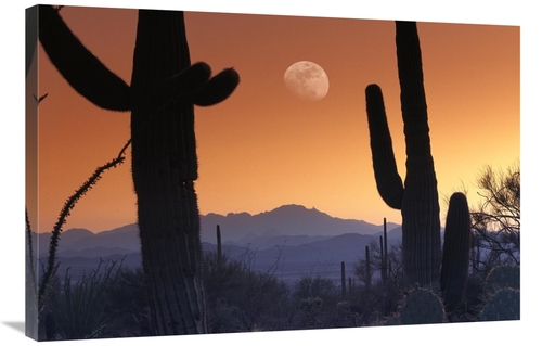 Global Gallery GCS-396538-2436-142 24 x 36 in. Kitt Peak Under Moon Fr