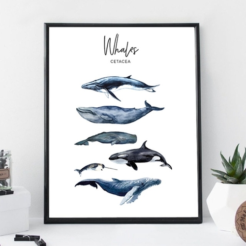 Watercolor Whales Canvas Art Print Painting Poster