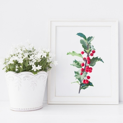 Holly Fresh Branch With Leaves And Berries Art