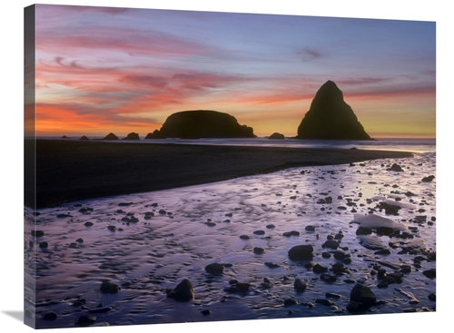 Global Gallery GCS-396124-2432-142 24 x 32 in. Whaleshead Beach with S