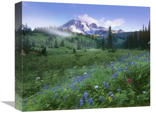 Global Gallery GCS-396792-16-142 16 in. Incoming Fog on Mount Rainier&