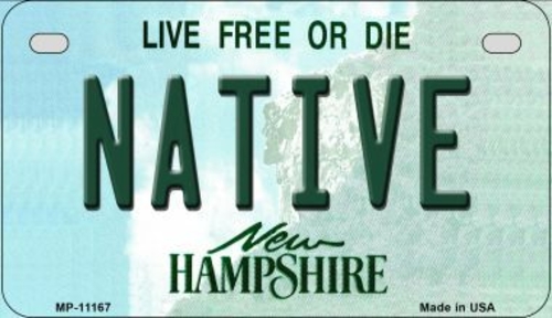 Smart Blonde MP-11167 7 x 4 in. Native New Hampshire Novelty Metal Mot