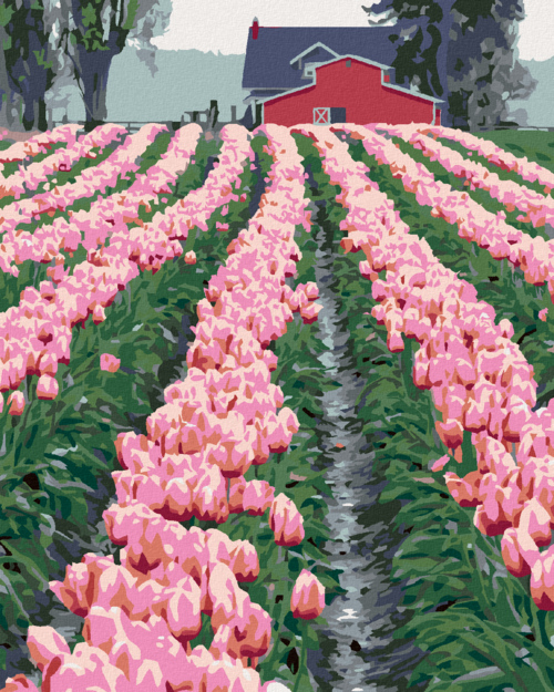 Zuty - Paint by Numbers - PINK TULIPS BY THE BARN (DENNIS FRATES),