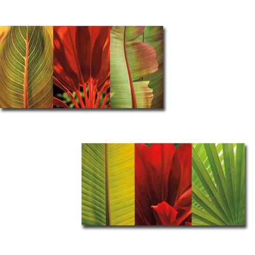 Artistic Home Gallery 1224674TG Tropical Treasure I & II by John Seba 