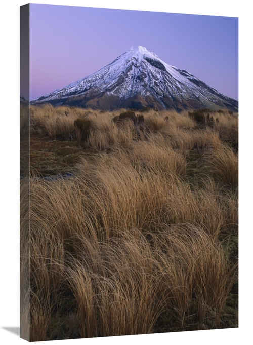 Global Gallery GCS-453502-2030-142 20 x 30 in. Mount Taranaki At Dusk&
