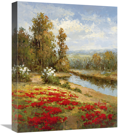 Global Gallery GCS-128430-1620-142 16 x 20 in. Poppy Vista I Art Print