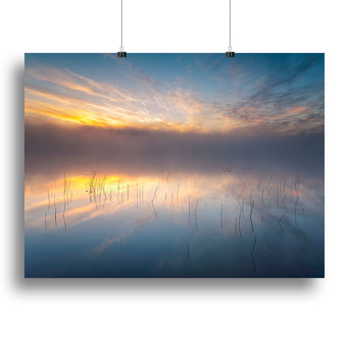 Reeds Canvas Print or Poster