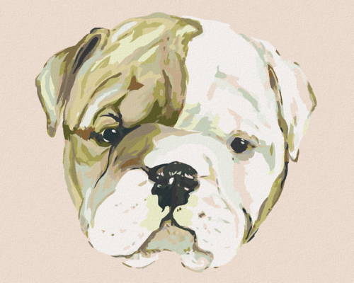 Paint by Numbers - BULLDOG PUPPY (HALEY BUSH)