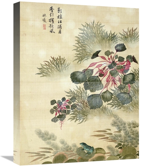 Global Gallery GCS-267608-22-142 22 in. Water Caktrios & Frog Art Prin