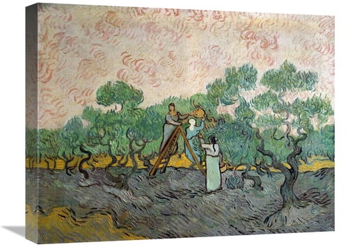 Global Gallery GCS-281329-22-142 22 in. Women Picking Olives Art Print