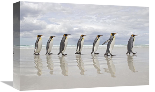 Global Gallery GCS-395353-1218-142 12 x 18 in. King Penguin Group Walk