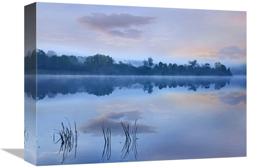 Global Gallery GCS-452247-1216-142 12 x 16 in. Mist Over Lackawanna La