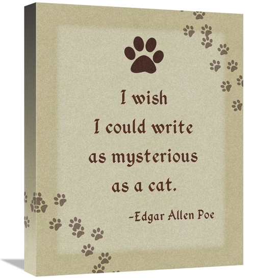 Global Gallery GCS-398808-1620-142 16 x 20 in. Edgar Allen Poe - Myste