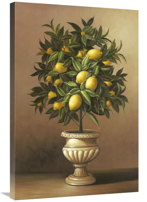 Global Gallery GCS-127131-2436-142 24 x 36 in. Potted Lemon Tree Art P