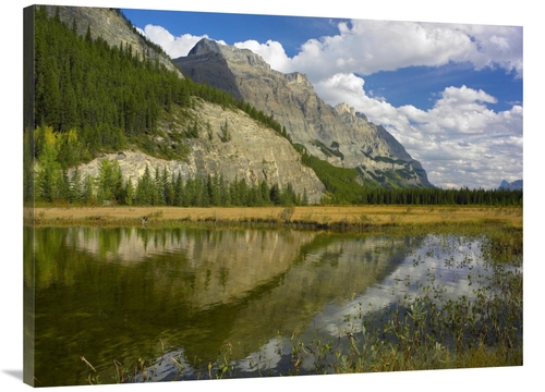 Global Gallery GCS-452176-3040-142 30 x 40 in. Mount Wilson Reflected 