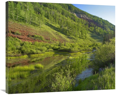 Global Gallery GCS-396398-36-142 36 in. Rico Mountains & Dolores River