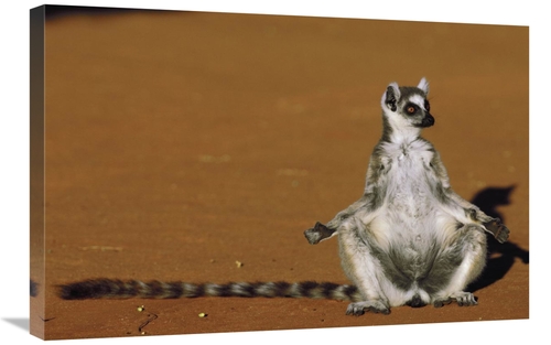 Global Gallery GCS-453234-2030-142 20 x 30 in. Ring-Tailed Lemur Sunni