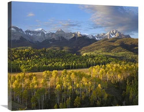 Global Gallery GCS-396775-30-142 30 in. Quaking Aspen Forest & Mount S