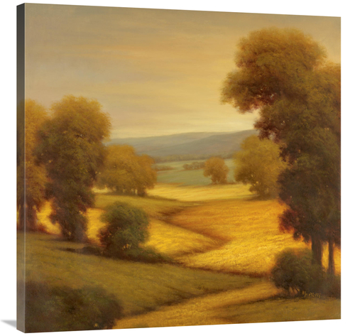 Global Gallery GCS-130146-3636-142 36 x 36 in. Amber Outlook I Art Pri