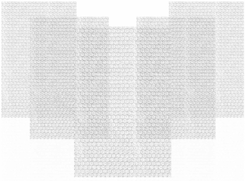 Bubble Out Bags 10 x 15.5 Inch Size. Pack of 25 Bubble Pouches 10" x