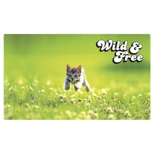 Main Legion Supplies LGNPLM024 Kitten Play Mat image