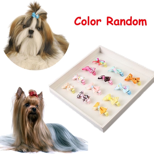 5PCS Color Random Dog Kitten Puppy Cute Pet