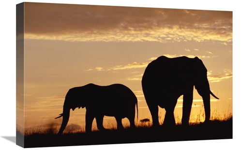 Global Gallery GCS-396588-1624-142 16 x 24 in. African Elephant Mother