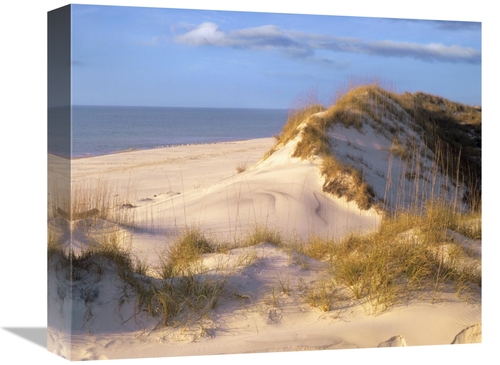 Global Gallery GCS-396340-16-142 16 in. Coastal Sand Dunes, Saint 