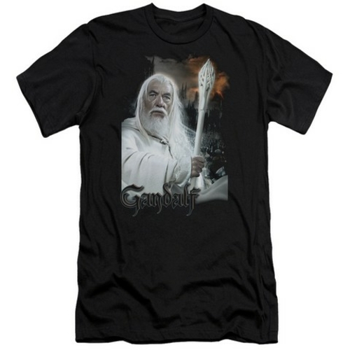 Trevco Lor-Gandalf Short Sleeve Adult 30-1 Tee- Black - 2X