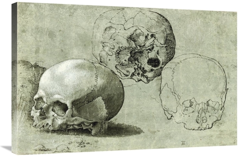 Global Gallery GCS-454967-2436-142 24 x 36 in. Study of Three Skulls A