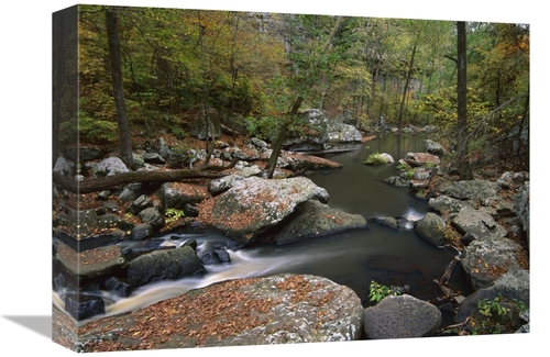 Global Gallery GCS-396927-1216-142 12 x 16 in. Cedar Creek Flowing Thr