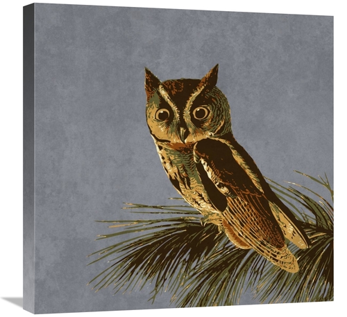 Global Gallery GCS-394162-2424-142 24 x 24 in. Audubon Decor - Little 