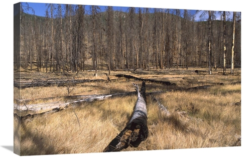 Global Gallery GCS-452836-2030-142 20 x 30 in. Deer Plateau After 1990