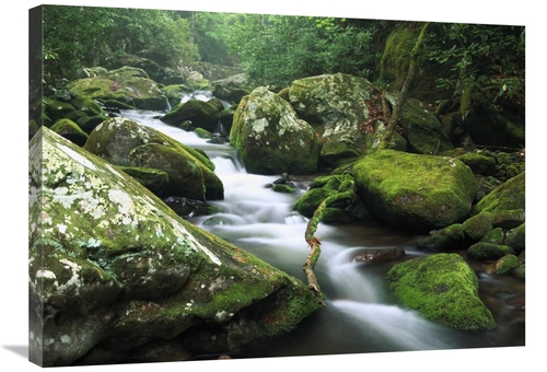 Global Gallery GCS-396693-2432-142 24 x 32 in. Roaring Fork River,