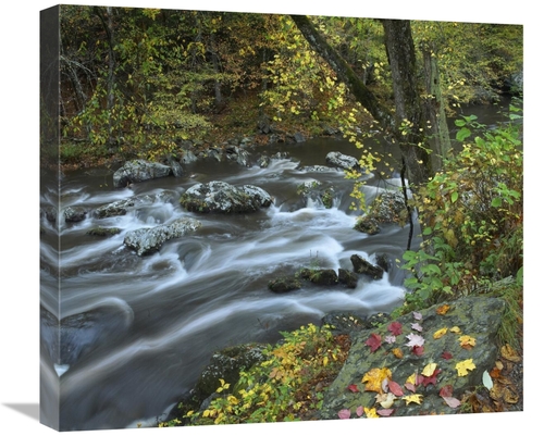 Global Gallery GCS-396550-22-142 22 in. Little River, Great Smoky 