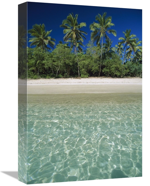 Global Gallery GCS-397514-1218-142 12 x 18 in. Tropical Scene with Pal