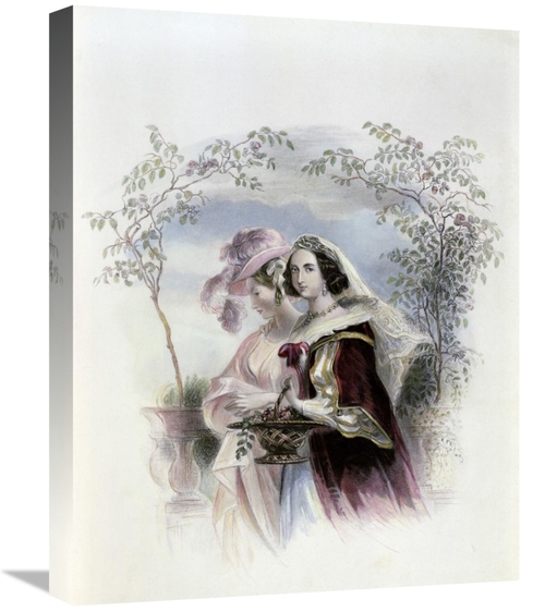 Global Gallery GCS-281086-22-142 22 in. Rose Acacia Art Print - Unknow