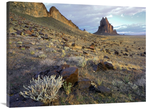 Global Gallery GCS-396514-3040-142 30 x 40 in. Shiprock, the Basal