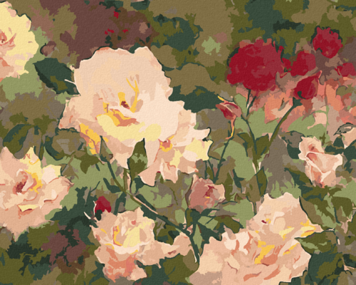 Zuty - Paint by Numbers â€“ WHITE AND RED ROSES (JUDY BUSWELL), 40x50