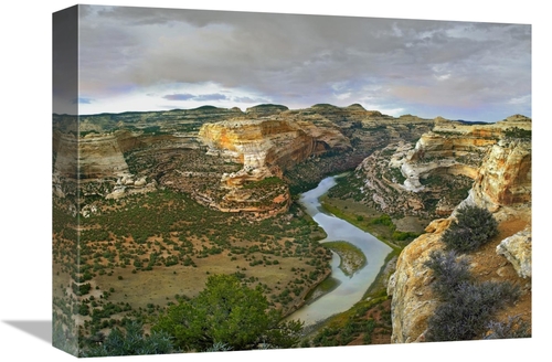 Global Gallery GCS-396862-1216-142 12 x 16 in. Yampa River Flowing Thr