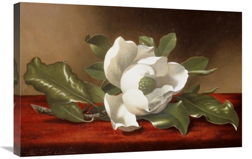 Global Gallery GCS-268075-30-142 30 in. Magnolia Art Print - Martin Jo