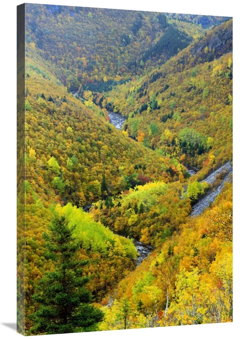 Global Gallery GCS-397610-2436-142 24 x 36 in. Mackenzie River Valley&