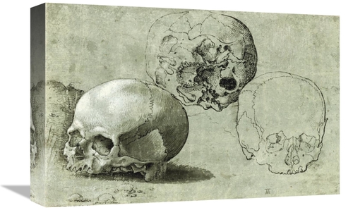 Global Gallery GCS-454967-1218-142 12 x 18 in. Study of Three Skulls A