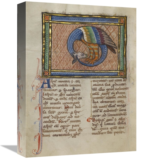 Global Gallery GCS-454757-1216-142 12 x 16 in. A Dragon-like Snake Art