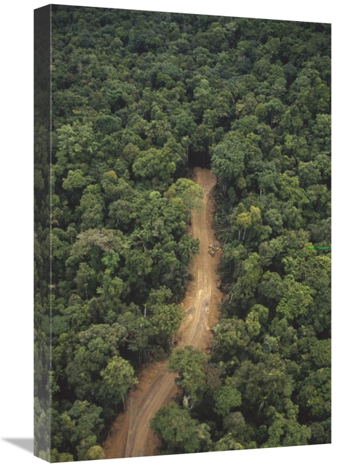 Global Gallery GCS-395788-1624-142 16 x 24 in. New Logging Road in Vir